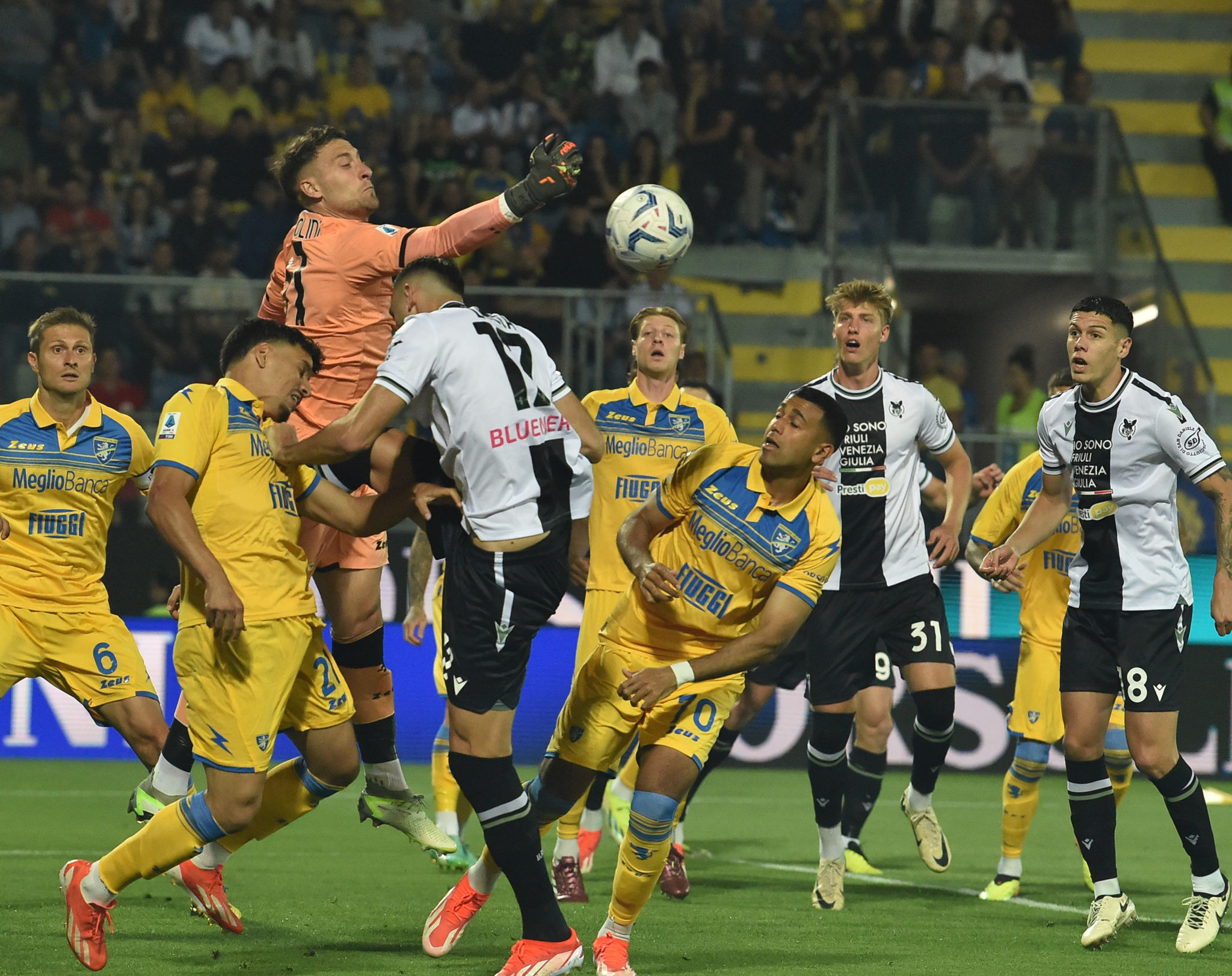 Bari, Cerofolini: Braglia, Guarna e Fontana promuovono il nuovo numero uno