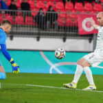 Cori dei tifosi del Bari contro Masiello, assente per la nona volta contro la sua ex squadra