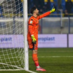 Bari-Palermo, la moviola: sette gialli e un rigore sotto la lente d'ingrandimento