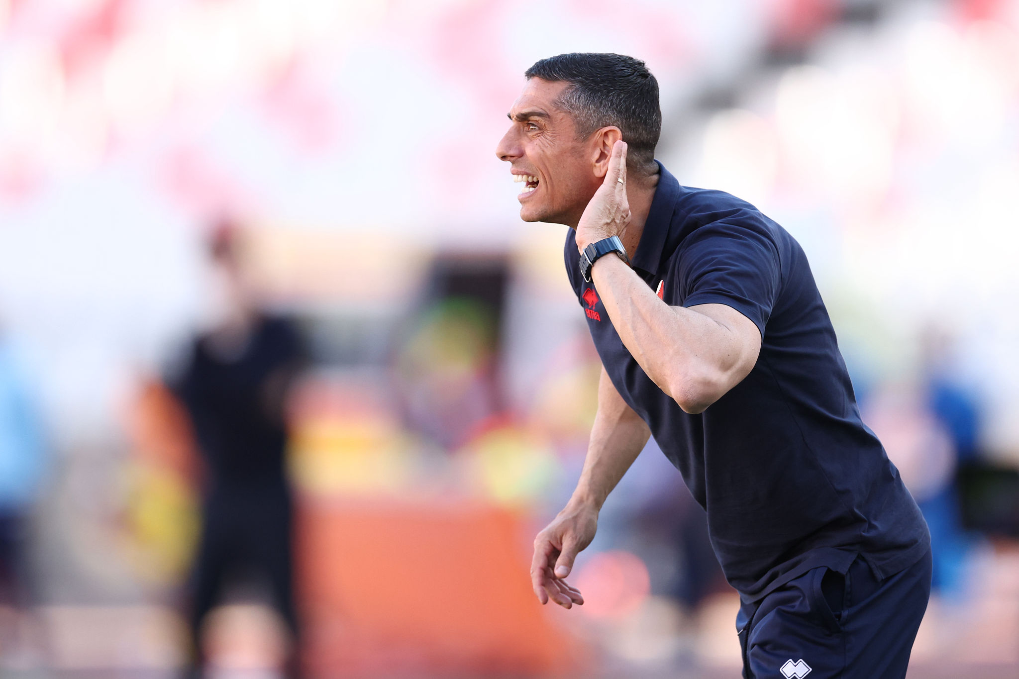 Tre venerdì per il destino del Bari: Longo si gioca la stagione